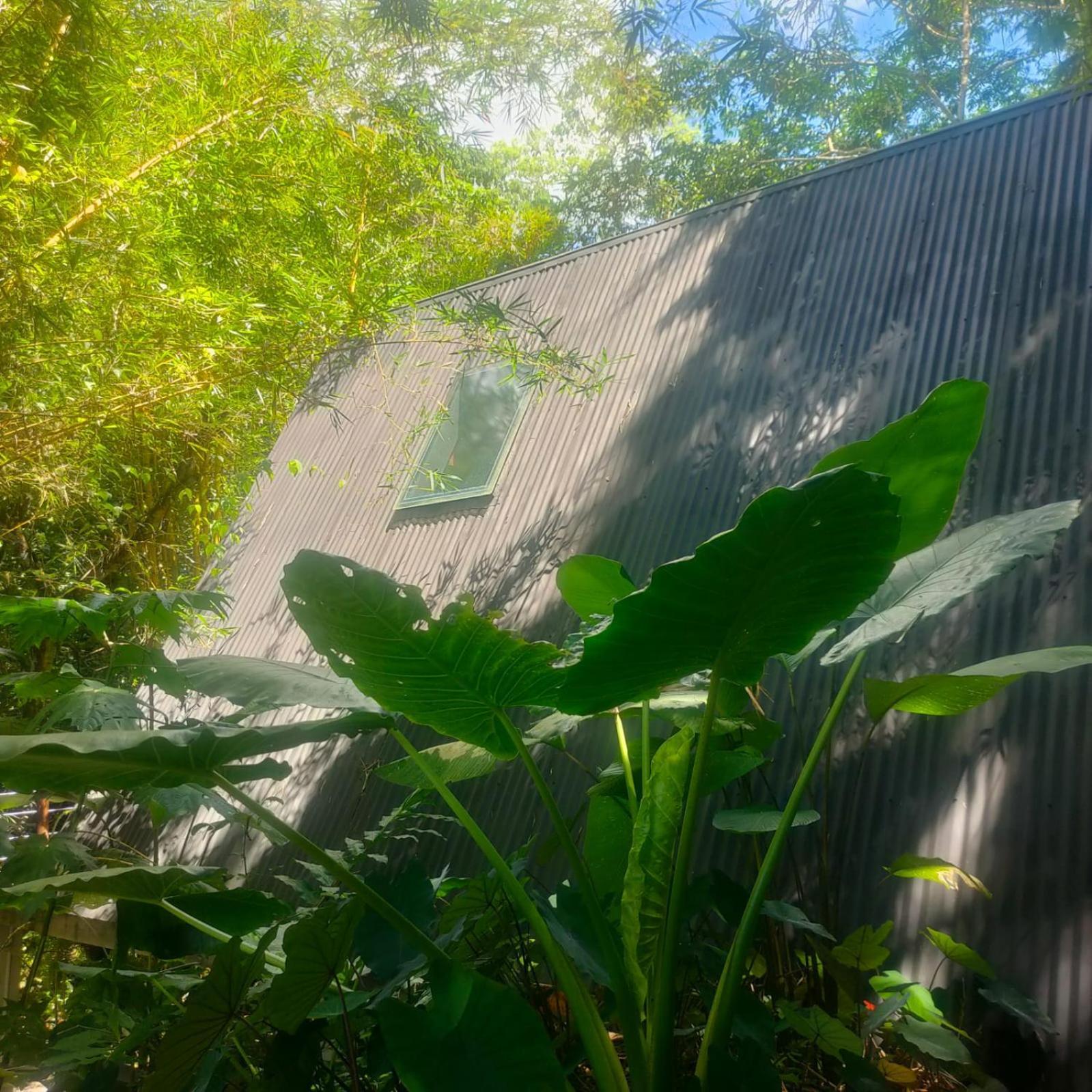 Tagua Lodge Tena Exterior foto